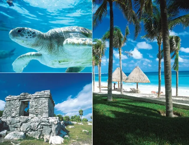 Magic Adventures Riviera Maya ( Aventura Magica Riviera Maya)