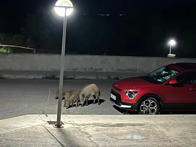 Apartamentos Madeira 3000