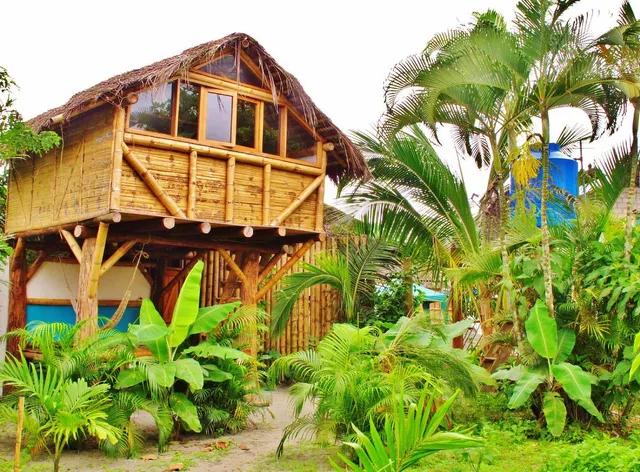 La Jungla Tropical Bungalows