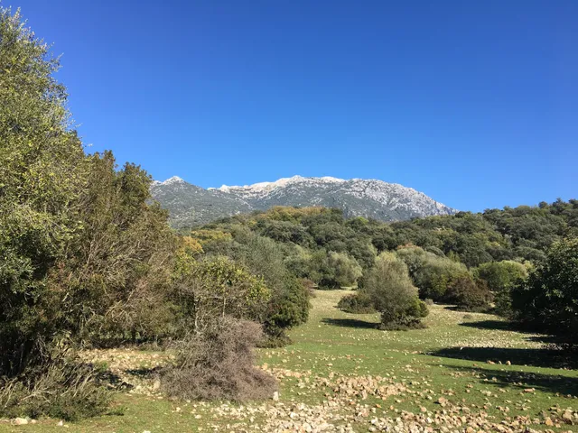 Los Llanos de Berral
