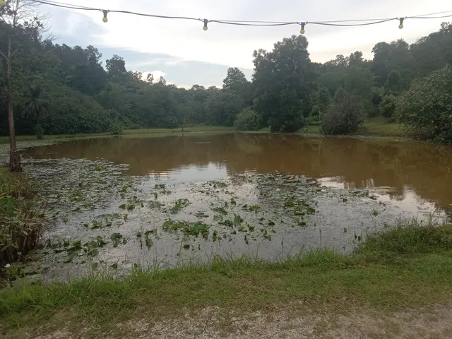 SIREH PARK CAMPING SITE