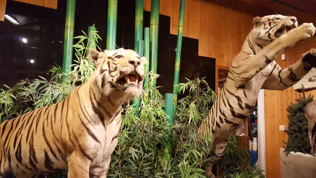 Bolack Museum of Fish and Wildlife