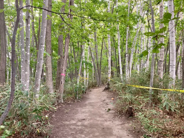 Nishioka Central Park