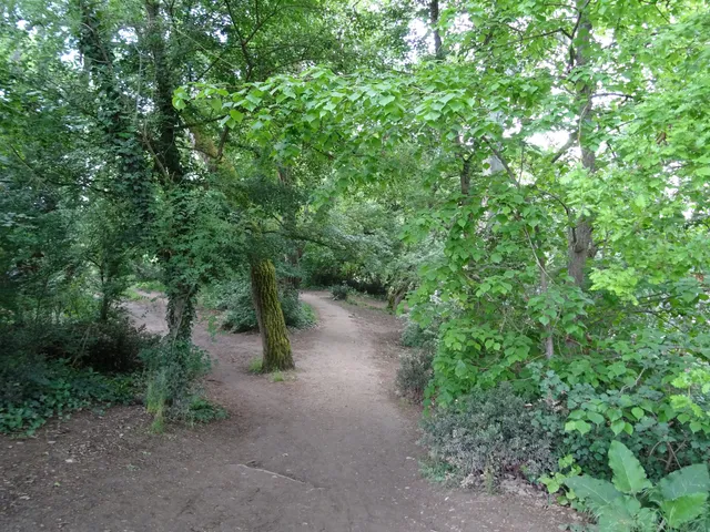 Coulée Verte Du Touch