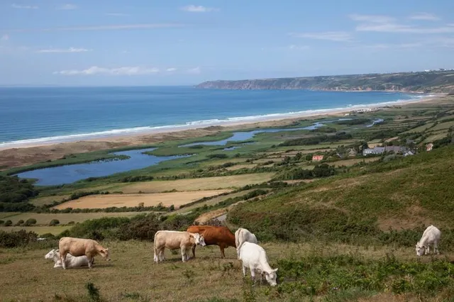 Réserve naturelle nationale de la mare de Vauville