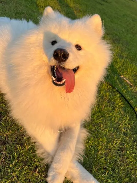 Parque Socioambiental Lago da Fé