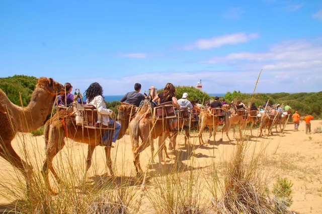 Aires Africanos - Ecoturismo en camello por Doñana