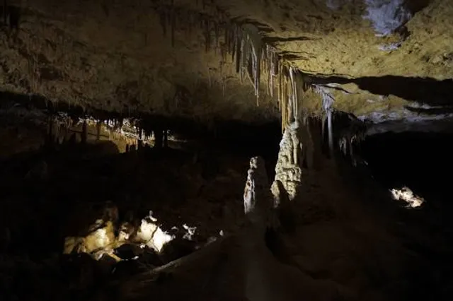 Victoria Fossil Cave