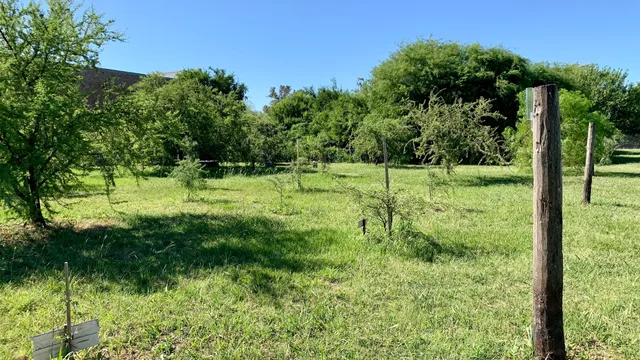 Fundación Archivo Gráfico y Museo Histórico