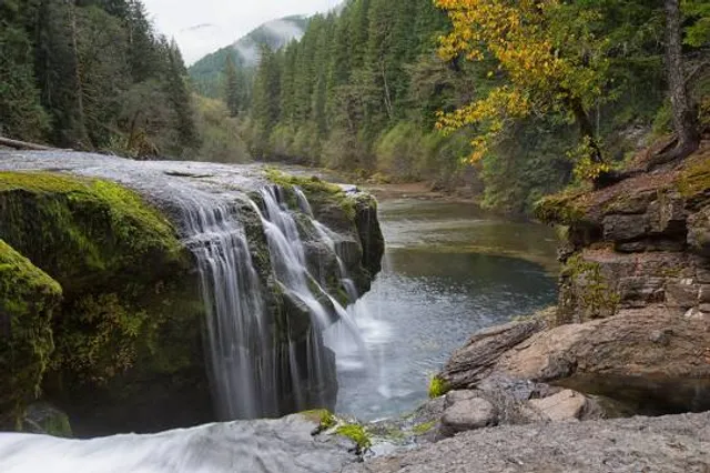 Pinchot State Forest -Thornhurst Tract