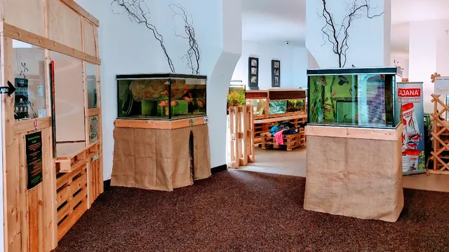 Veřejné akvárium v České Lípě