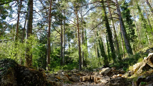 Barranco de la Pegunta