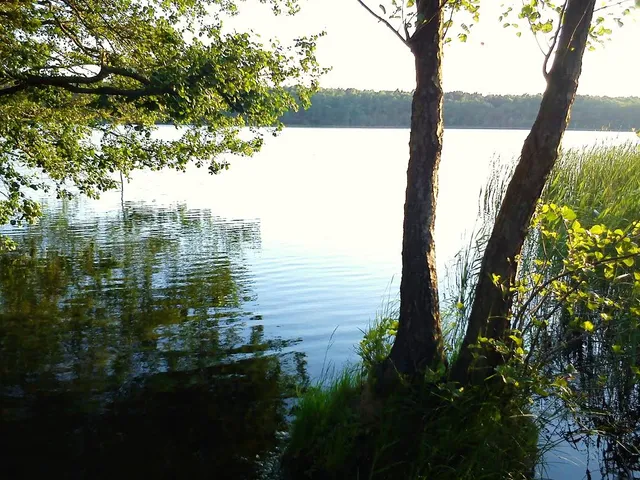 Jezioro Strzeszyńskie