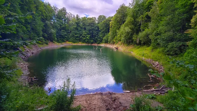 Nature reserve Jeziorko Daisy