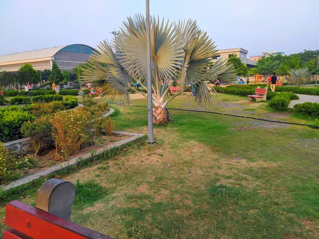 Town Park Sector-31