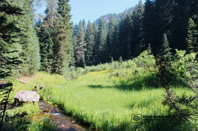 Castle Crest Wildflower Garden