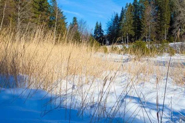 Réserve naturelle nationale du lac Luitel