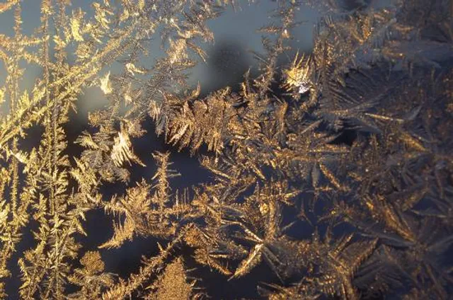 Naturstation Silberweide