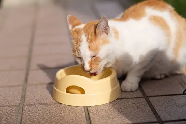 Daejeon Museum of Art