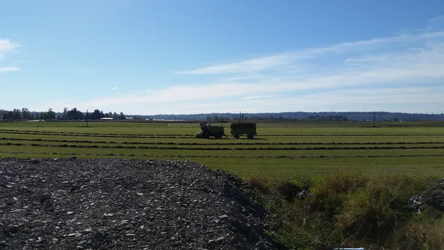 Heppell's Potato Corporation