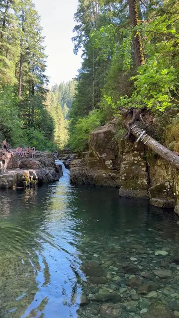 Brice Creek Falls Trailhead