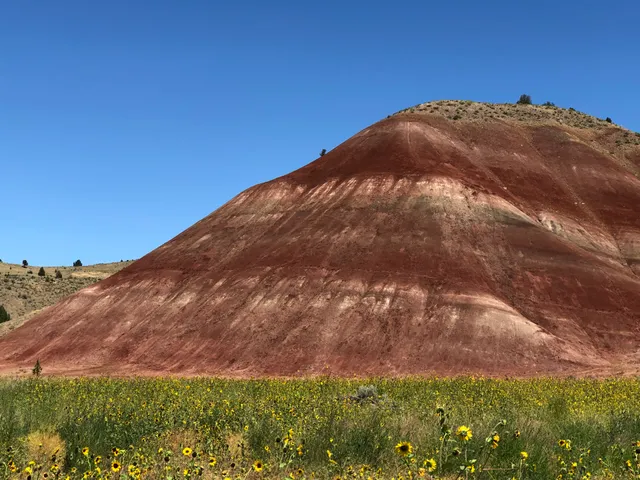 Picnic Area and Information Center