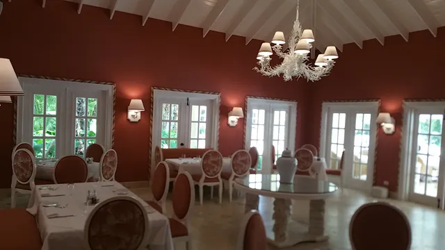 Bamboo at Tortuga Bay