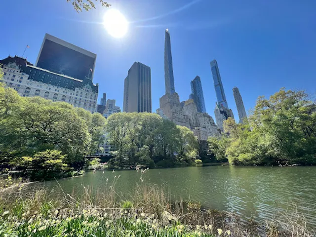 The Pond at Central Park
