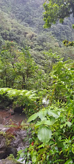 Papillote Tropical Gardens