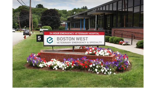 Boston West Veterinary Emergency & Specialty