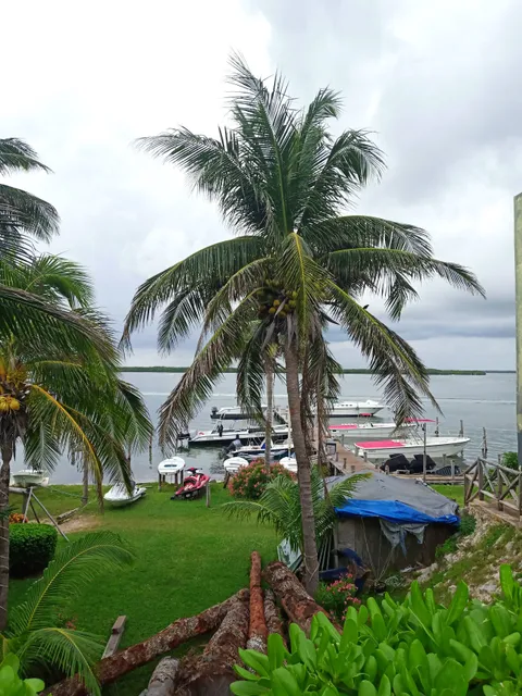 Krispy Kreme Las Americas Playa Del Carmen