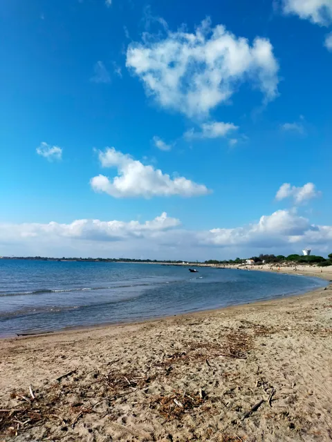 Plage de la Tamarissière