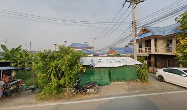 นกน้อยปังปัง