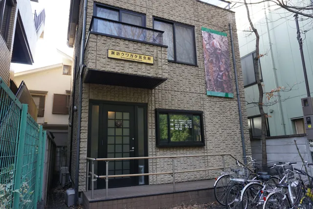 Suwa Lucanidae Museum