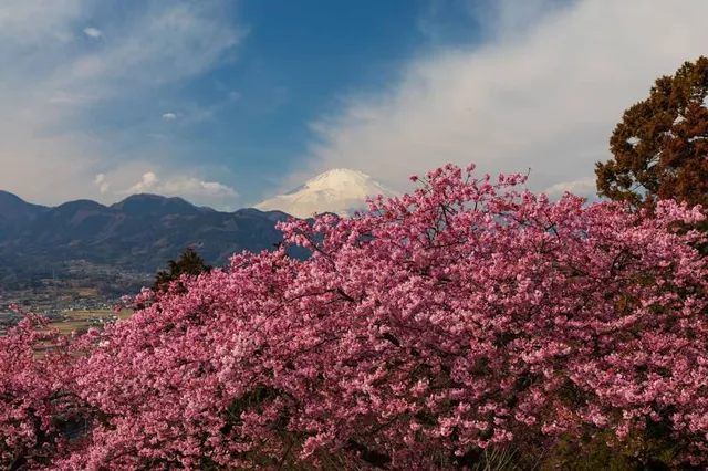 Matsudayama Herb Garden