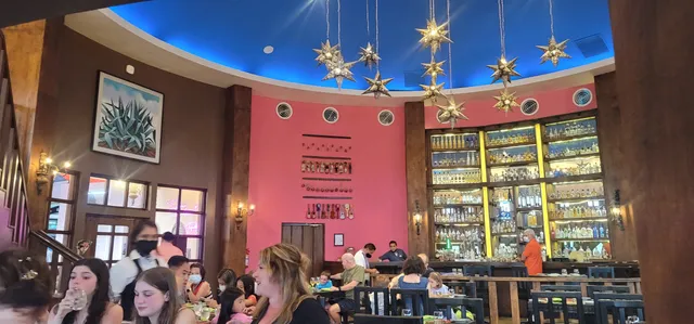 El Maguey
