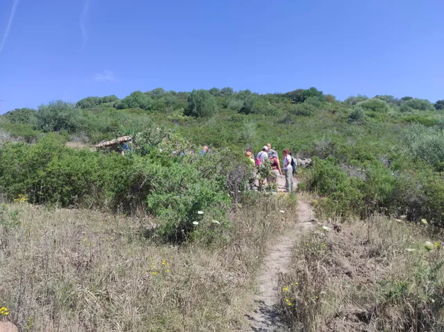 • Domus de janas di Monte Siseri I o di S'Incantu