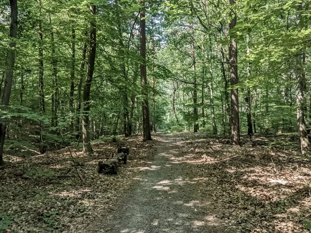 Arkoński Forest Park