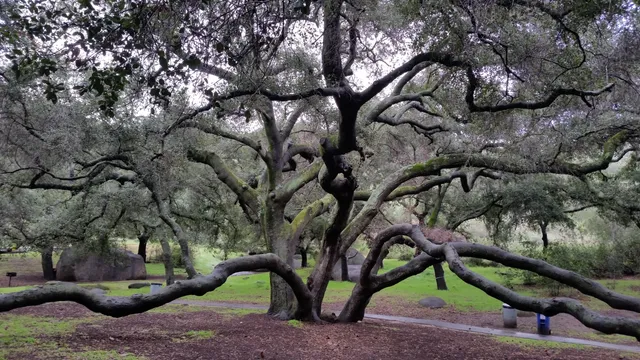 Louis A. Stelzer County Park