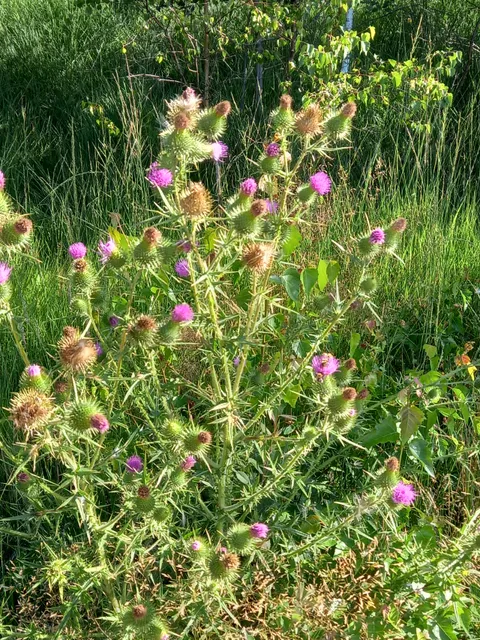 photo-2