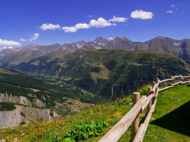 Saussurea Alpine Botanical Garden