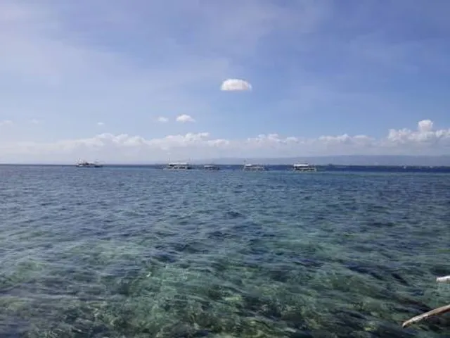 San Vicente Marine Sanctuary