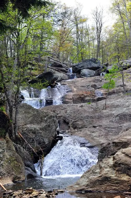 Burnt Mills East Special Park