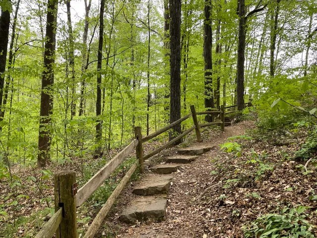The Bog Garden at Benjamin Park