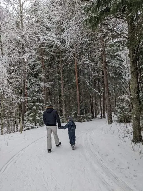 Saku valgustatud suusarada