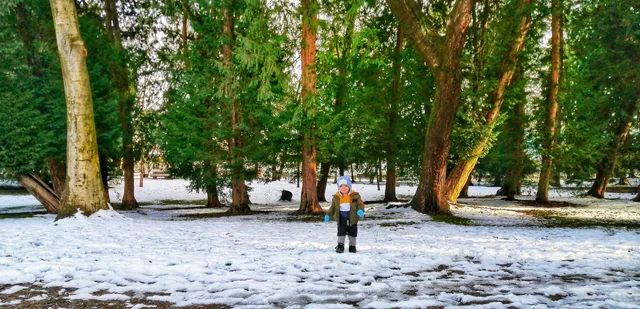 Parco Comunale Falcone e Borsellino