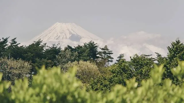 photo-1