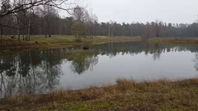 Boswachterij Dorst