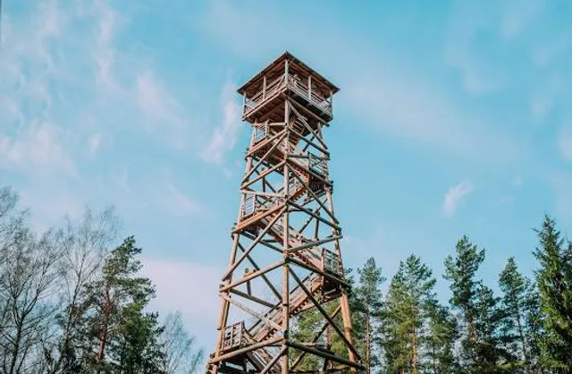 Rannametsa vaatetorn