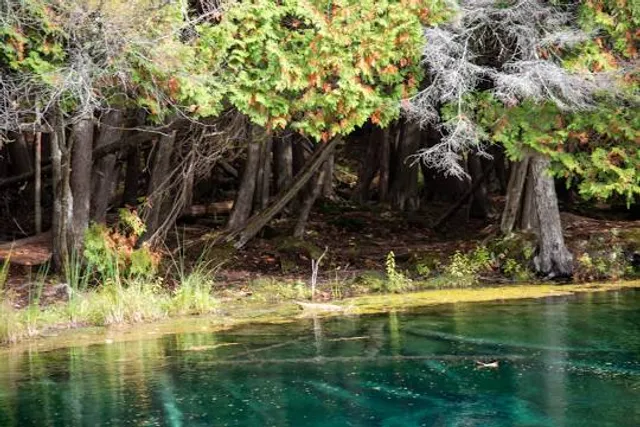 Palms Book State Park